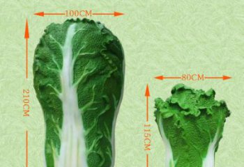 白菜雕塑廠家，仿真白菜雕塑，玻璃鋼蔬菜彩繪雕塑