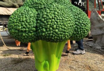 西藍花雕塑廠家，仿真蔬菜擺件，園林仿真彩繪工藝小品