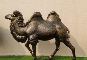 駱駝雕塑廠家，公園動(dòng)物小品，玻璃鋼仿真駱駝雕塑廠