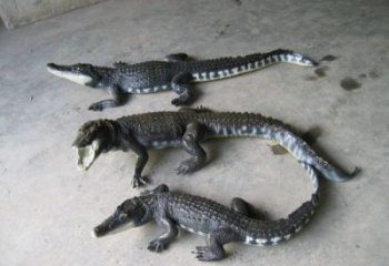 庭院鱷魚雕塑 城市古銅色雕塑 動(dòng)物小品