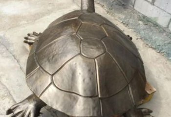 古銅色海龜雕塑供應商 大型城市雕塑 商業(yè)街擺件