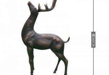 銅小鹿雕塑標(biāo)準(zhǔn)，景觀雕塑，小鹿銅雕塑提供